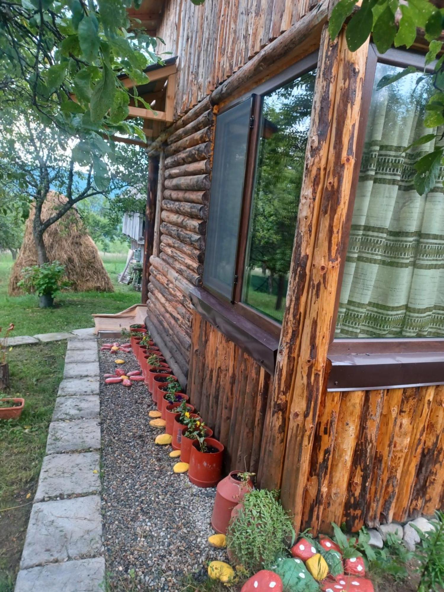 Hotel Casa Sara Nucsoara Extérieur photo